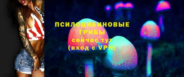 apvp Елабуга
