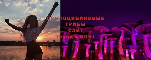 прущая мука Ельня