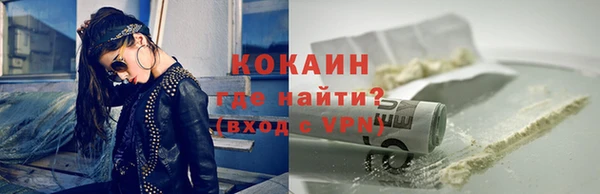 дмт Елизово