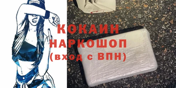 дмт Елизово