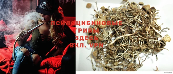 прущая мука Ельня