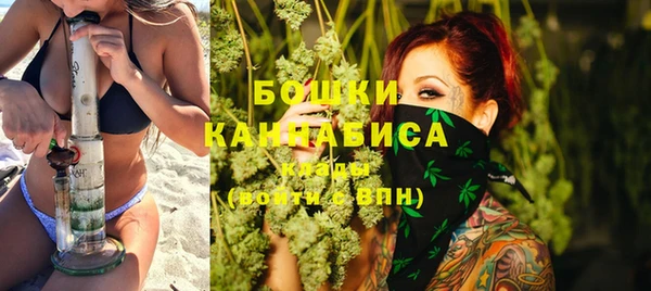 дмт Елизово