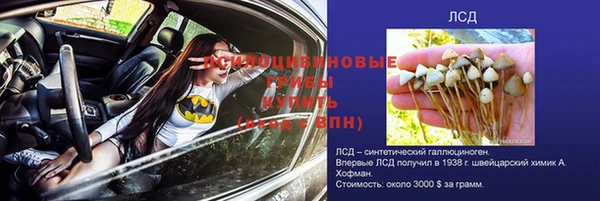 дмт Елизово