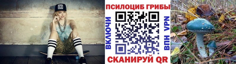 гидра ТОР  Иланский  Псилоцибиновые грибы Psilocybine cubensis  продажа наркотиков 